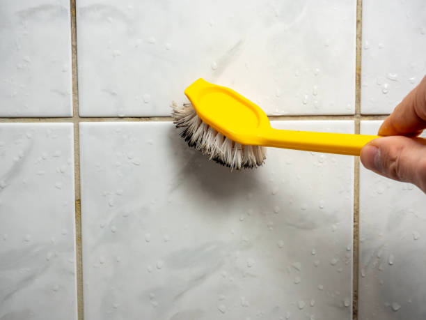 Best Industrial Mold Remediation in Romeovle, IL