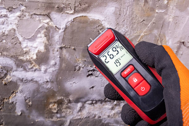 Best Industrial Mold Remediation in Romeovle, IL