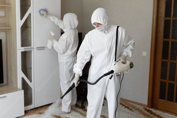 Best Post-Flood Mold Remediation in Romeovle, IL