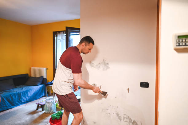 Best DIY Mold Remediation Support Services in Romeovle, IL